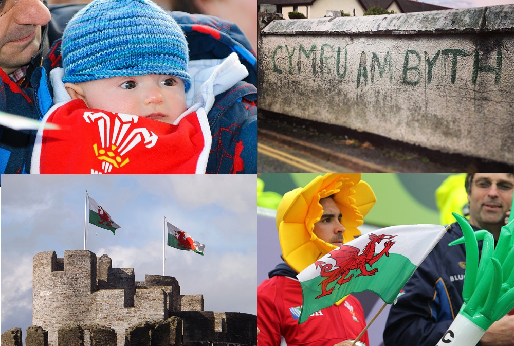 Nation.Cymru Welsh Politics And Identity Survey Results