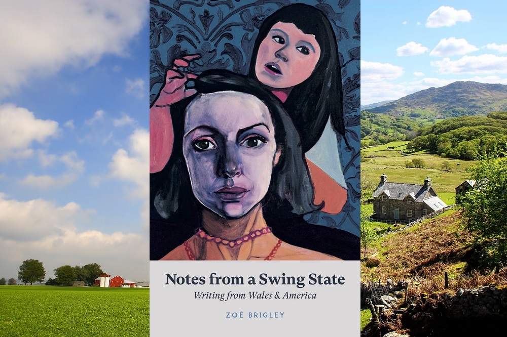 review-notes-from-a-swing-state-writing-from-wales-america-is-a