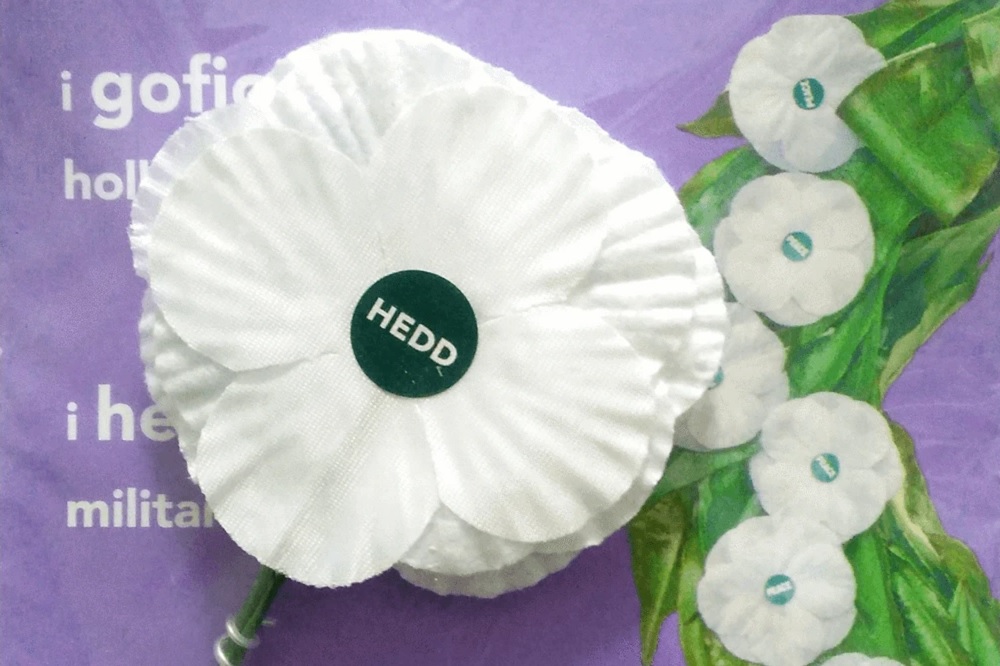 White poppy meaning: What the pacifist symbol means and why people