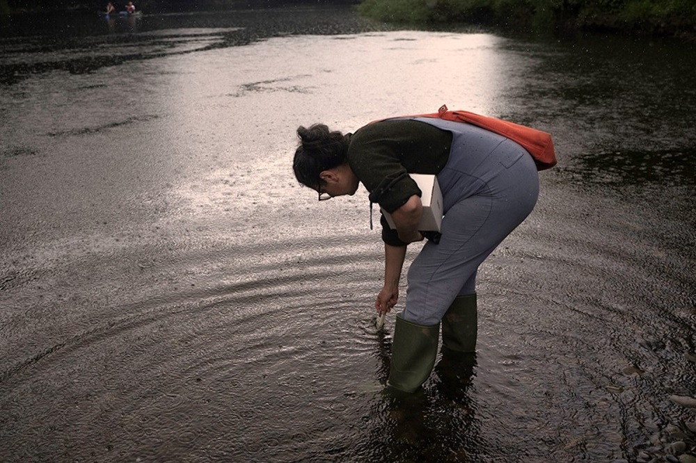 Not Wye But Where Group Given 10 000 To Find The Source Of River S   River Wye 